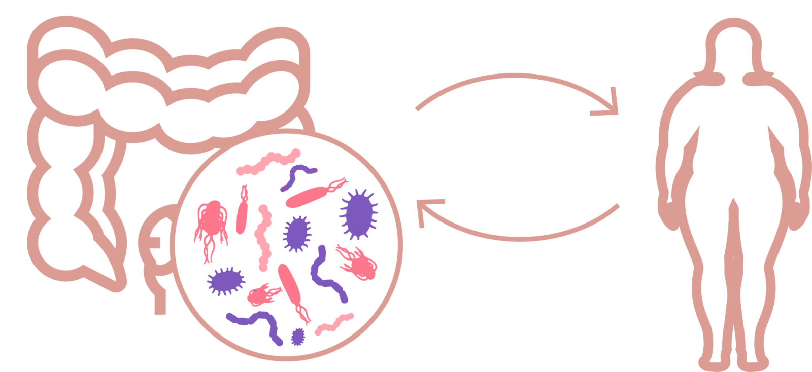 związek mikrobioty jelitowej z otyłością - OMNi-BiOTiC